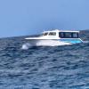 Coral Explorer 